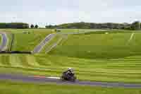 Middle Group Black Bikes